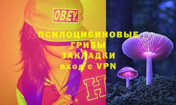 PSILOCYBIN Бронницы