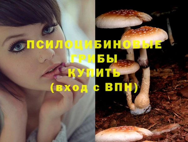 ГАЛЛЮЦИНОГЕННЫЕ ГРИБЫ Верея