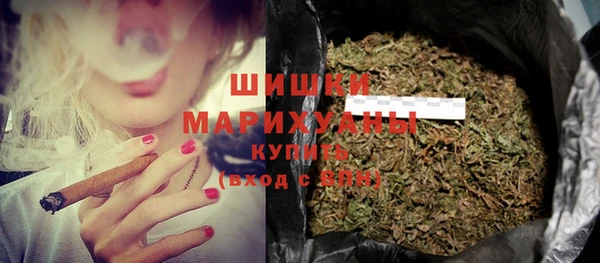 ГАЛЛЮЦИНОГЕННЫЕ ГРИБЫ Верея